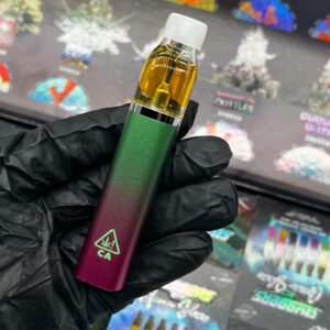 Sluggers 2g disposable vape