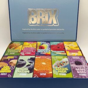 Brix 2G Disposable Vape
