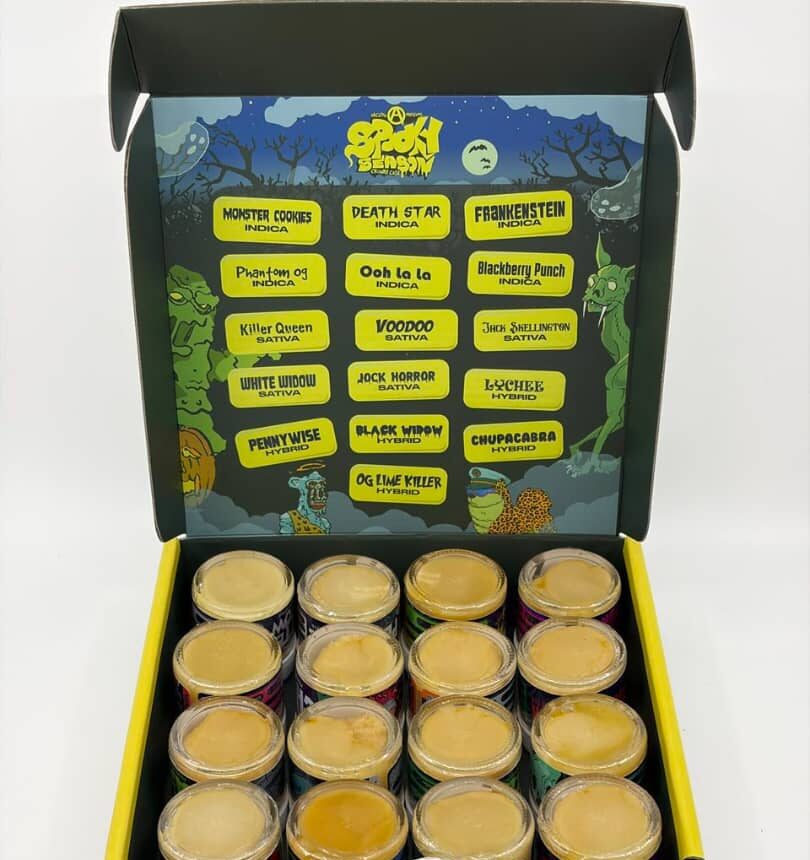 Arcadia Spooky Season Batter